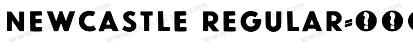 Newcastle Regular字体转换